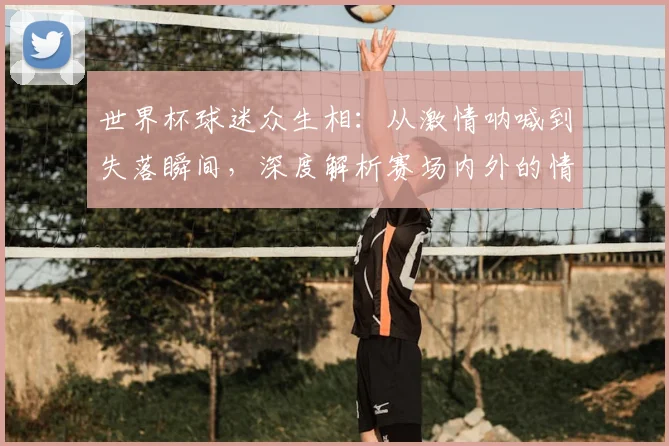 世界杯球迷众生相：从激情呐喊到失落瞬间，深度解析赛场内外的情绪浪潮