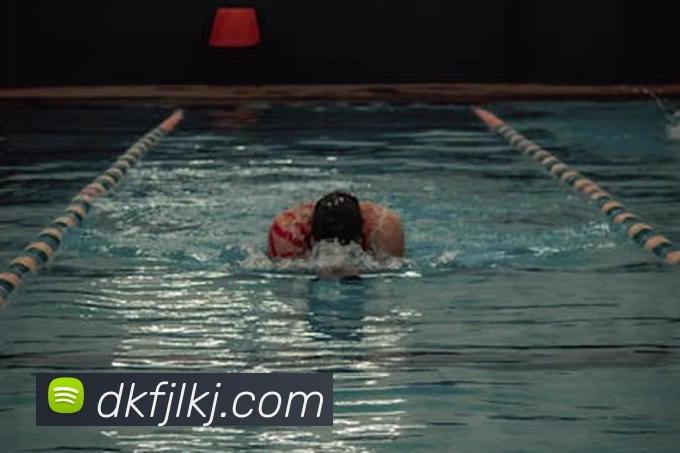 App功能展示图